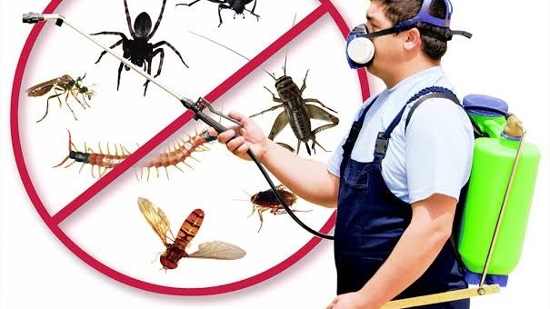 ITALIAN | Pest Control Services Thiruvanthapuram