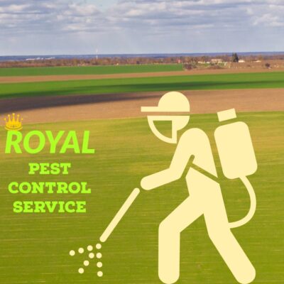 ROYAL PEST CONTROL