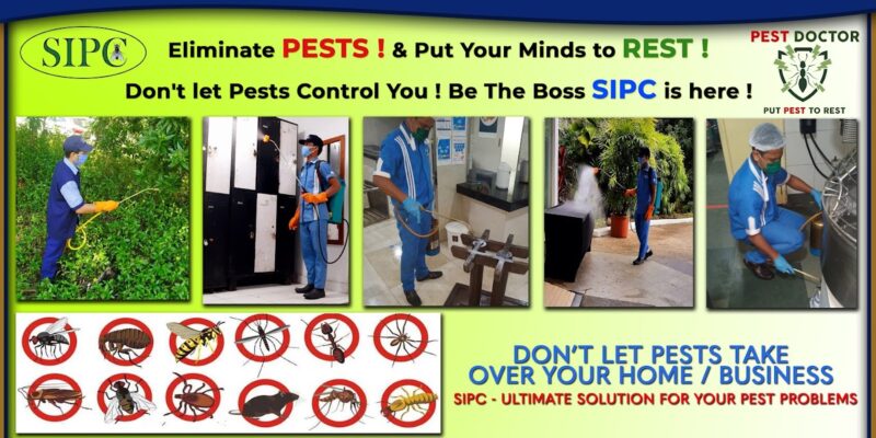 SIPC | Best Pest Control Services in Trivandrum | Pest Control Services in Trivandrum.